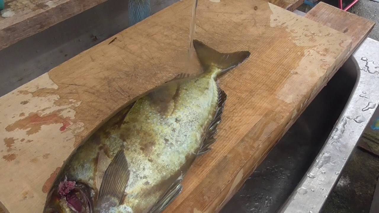 アイゴという魚は毒に要注意 上手な調理の仕方とアイゴの料理をご紹介 たべるご