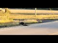 Things you see on McDowell Creek Southern Riley County Kansas