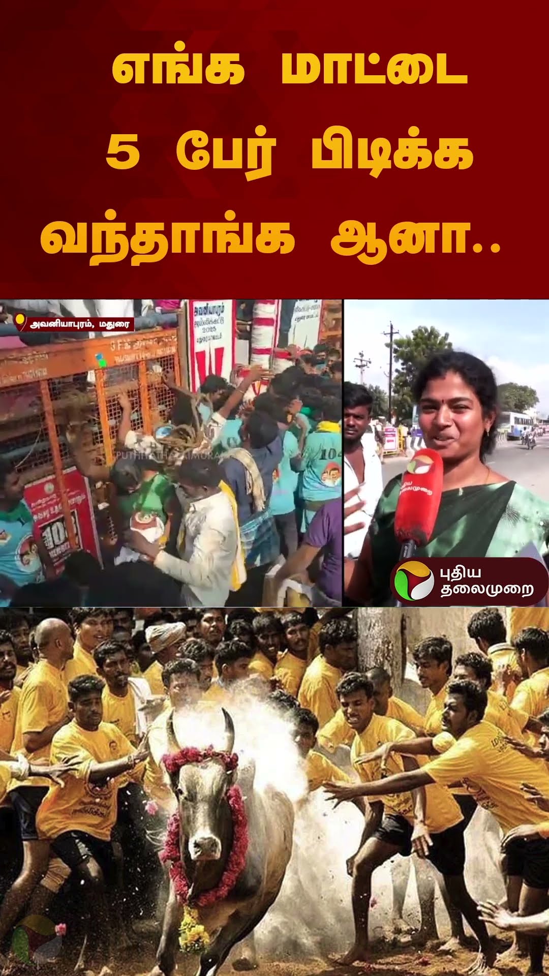 எங்க மாட்டை 5 பேர் பிடிக்க வந்தாங்க ஆனா.. | #jallikattu2025 #madurai  #puthiyathalaimuraitv #shorts