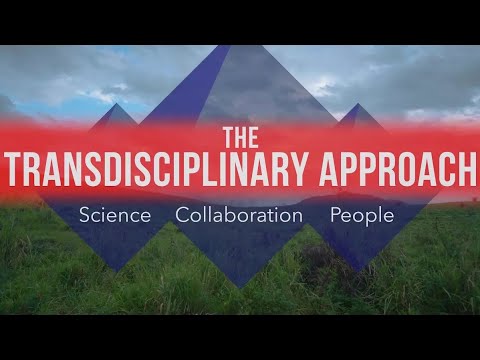 The Transdisciplinary Approach