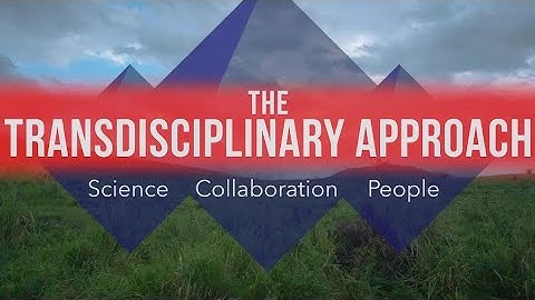 The Transdisciplinary Approach