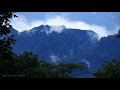 Jungel Sounds | Morning Nature sound of Thailand Rainforest