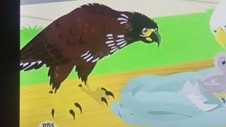 Downy The Young Bald Eagle With Lacy Chabert Voice
