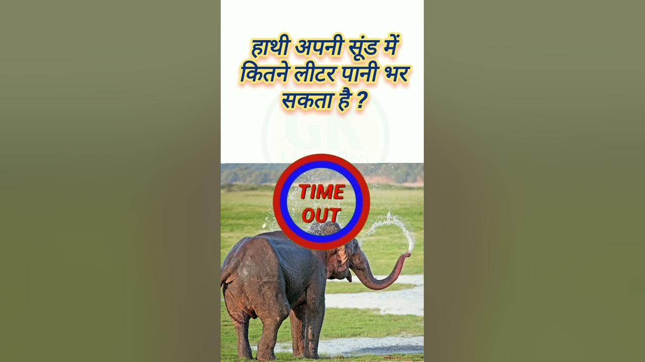 GK Question GK In Hindi GK Question And Answer GK Quiz Video 08 gk-question-gk-in-hindi-gk-question-and-answer-gk-quiz-video-08