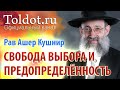 Рав Ашер Кушнир. Свобода выбора и предопределённость. ДЕРЕХ АШЕМ 27