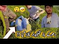 Dhooka baaz thakadar pakra giabest funnys compilation dont forget to like and subscribe