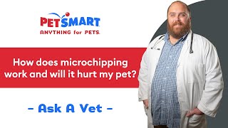 Celebrity How Microchipping Your Pet Works | PetSmart Veterinary Services Wealth