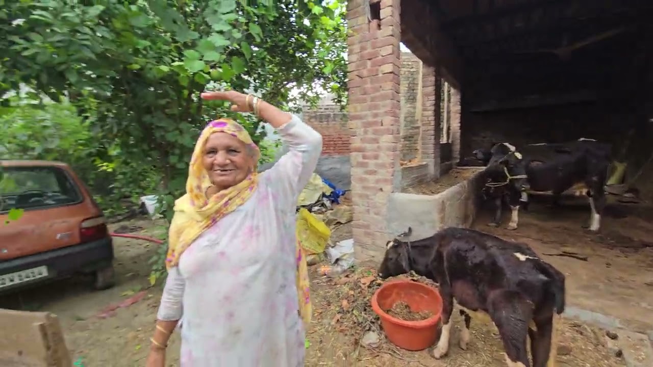 ਆ 80 ਸਾਲ ਦੀ ਬੇਬੇ ਬਹੁਤ ਮਿਹਨਤ ਕਰਦੀ ਏ ਸਾਰੀ ਵੀਡੀਓ ਐਂਡ ਤੱਕ ਦੇਖਿਓ! @Sukhjeet_Sidhu_farmer 