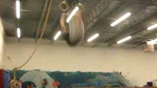 full twisting double back off rings
