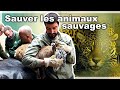 Sauveteurs danimaux sauvages