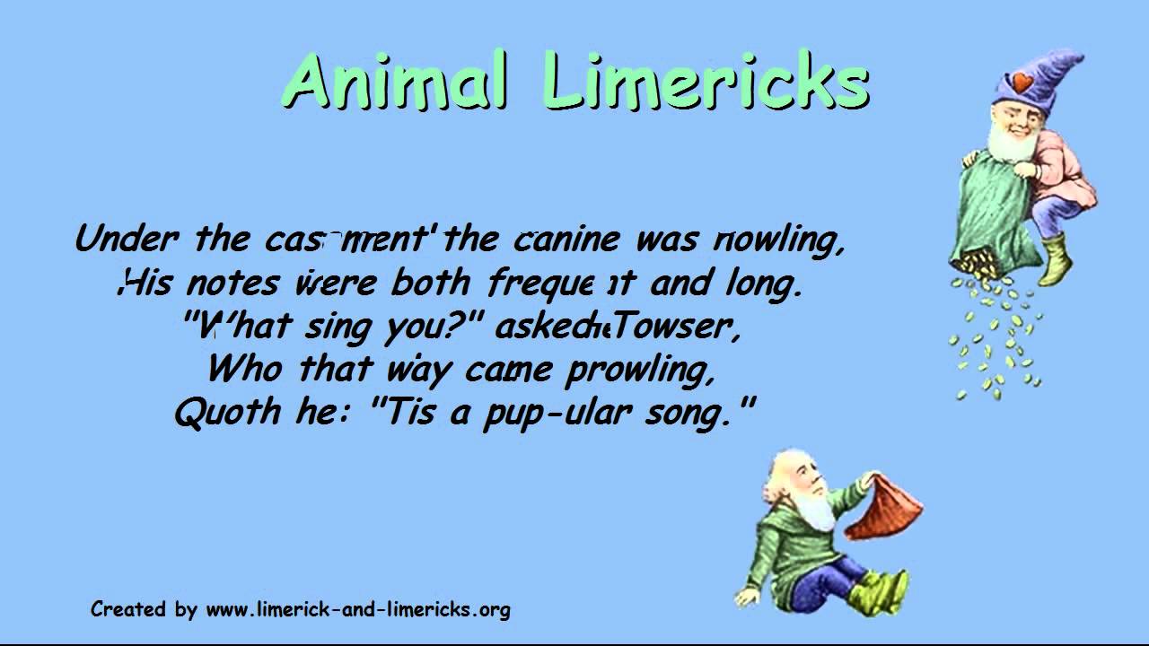 ♣♣♣ Animal Limericks - Example Limerick Poems ♣♣♣ - YouTube