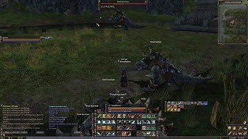 Lineage II Classic aoe exp destroer
