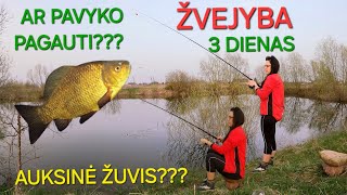 MOTERIŠKI ŽVEJYBOS YPATUMAI 🤫 SLIEKAS ANT KABLIUKO, MEŠKERĖ MEDYJE, KAROSAS JUOKIASI 🐠 PABĖGO ŽUVIS🐟