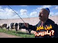 بادريس غابر علينا