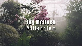 Jay Mellock - Millennium [Future Garage] by Shayan Sadr 357 views 1 year ago 3 minutes, 13 seconds