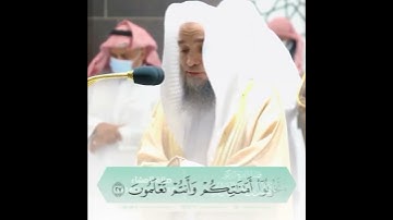 من أجمل ما ستسمع للشيخ فيصل غزاوي تلاوة مؤثرة || حالات واتس اب