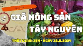 Giá nông sản hôm nay 18.5: Giá cà phê tiếp tục tăng mạnh| Báo Lao Động