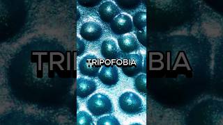 Tripofobia: Descubre el Misterio Detrás del Miedo a los Patrones