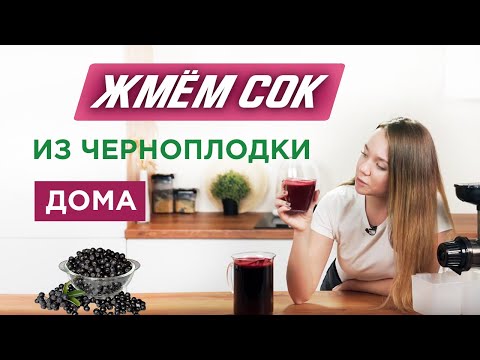 Заготовка сока из черноплодной рябины - как отжать чистый сок из ягод?