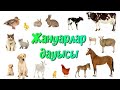 Үй жануарлары | Үй жануарлары мен төлдері | Үй жануарларының дауыстары | Жануарлар дауысы  🐕🐴🐏