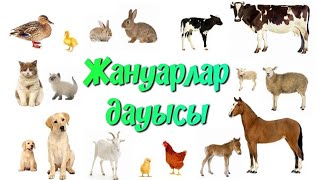 Үй жануарлары. Үй жануарлары мен төлдері. Үй жануарларының дауыстары. Жануарлар дауысы