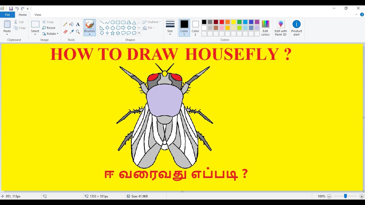 How To Draw Housefly MS PAINT Smart Sky YouTube how-to-draw-housefly-ms-paint-smart-sky-youtube