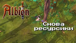 Ресурсов Много Не Бывает • Albion Online #7