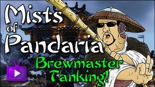 Brewmaster Monk Tanking Tutorial - Stagger