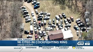 98 people cited in Union County cockfighting ring