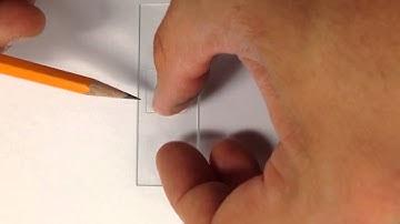 How To Prepare A Wet Mount Slide