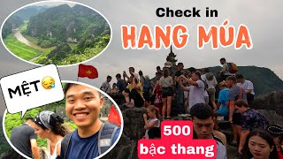 HÀNG TRĂM du khách cố leo lên địa điểm này - Hang Múa, Ninh Bình