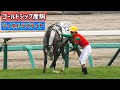 【追悼】大きな故障を発症しても最後まで倒れず木幡巧也騎手を守ったマイネルラズライト【ゴールドシップ産駒】