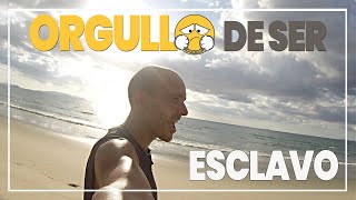 ORGULLO DE SER ESCLAVO 🤗 by OtraVidaesPosible 3,262 views 1 year ago 4 minutes, 32 seconds