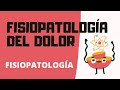 FISIOPATOLOGÍA DEL DOLOR | FISIOPATOLOGÍA | CLASE N°1