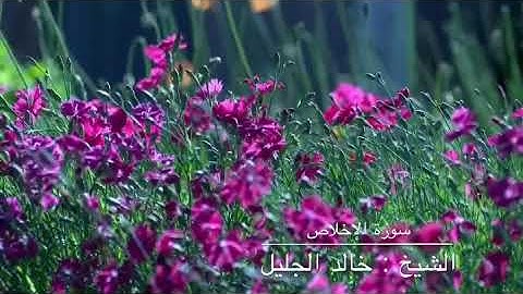 سوره الاخلاص الشيخ و القارئ خالد الجليل 🍃⛅️