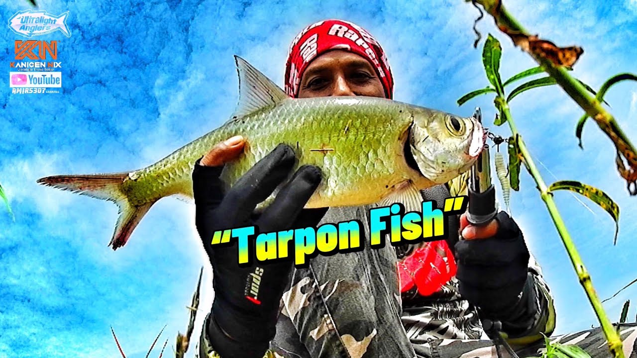 An Epic Battle With This Tarpon Fish | Ultralight Fishing - YouTube