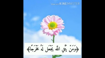 تلاوه_جميله_(ومن يتق الله يجعل له مخرجا)