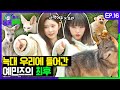 [SUB] 추리보다 해명이 시급한 보조탐정 민주👋 드디어 동물노..ᄋ.. 아니 동물탐정에 왔습니다! 오늘의 추리는?ᅵ예나는동물탐정 EP.16