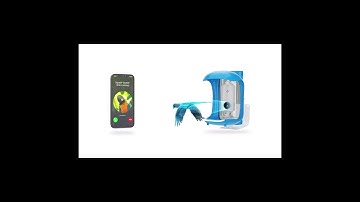 Palprot Bird Detective Smart Bird Feeder