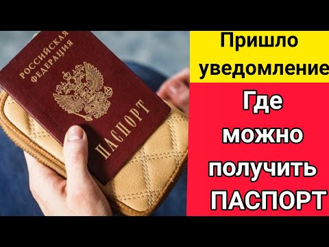 Получили ПАСПОРТ/Какие документы нужны для получения паспорта РФ/Куда надо отнести уведомление