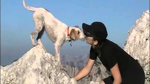 Generalisation - training in different locations