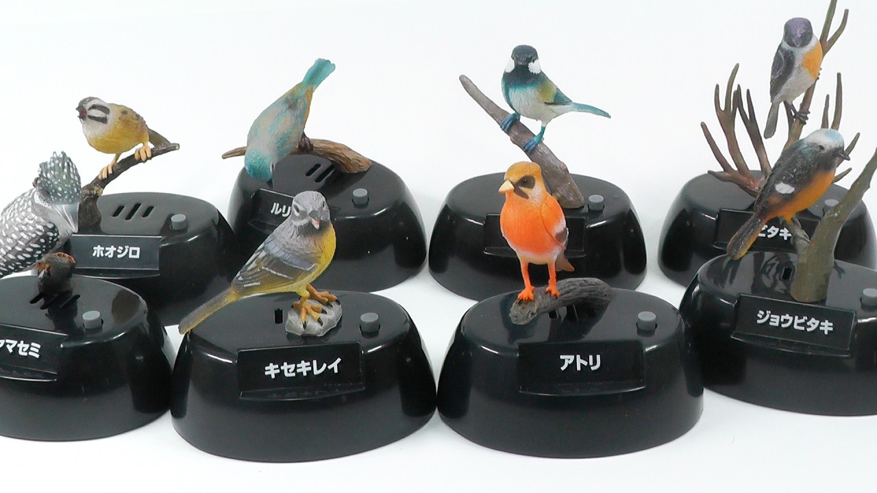 神産ノ黄泉鳥アメノトリフネ2枚セット 野鳥名鑑2 リアルな鳴き声を聞ける 全8種 Field Guide to Wild Birds