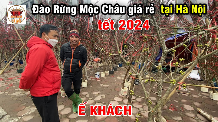 Mua hóa đơn vat giá rẻ tại hà nội năm 2024