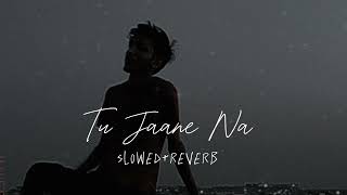 Tu Jane Na - Atif Aslam (Slowed + Reverb) lofi song