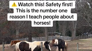 Watch This Safety First This Is The Number One Reason I Teach People About Horses