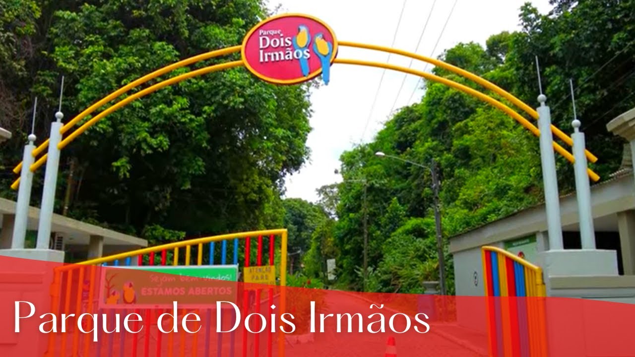 Na série Vamos Pintar e - Parque Estadual de Dois Irmãos