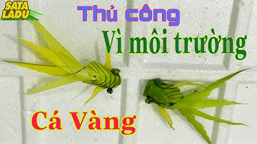 Hướng Dẫn Cách Làm Con Cá Vàng / Sáng Tạo Từ Lá Dừa