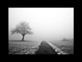 Capture de la vidéo Im Nebel (Hermann Hesse)