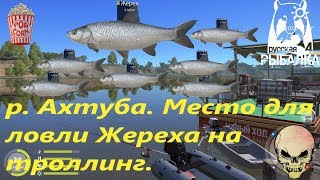 Русская рыбалка 4. р. Ахтуба. Координаты для ловли Жереха на троллинг.