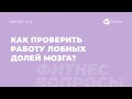 Как включить в работу лобные доли? Отвечает эксперт по функциональному движению Виктория Боровская